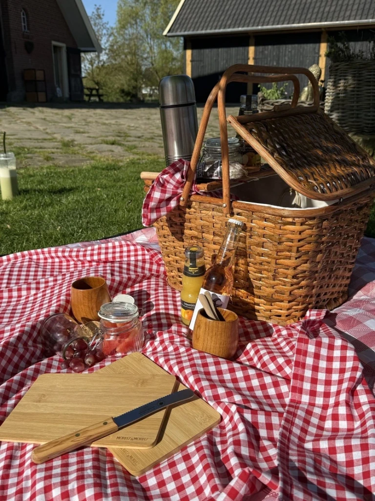 [100076] Picknick